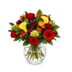 La Belle Vie Original buket med røde roser, gerbera, ranunkler, calla liljer, skimmia og tropiske varme farver