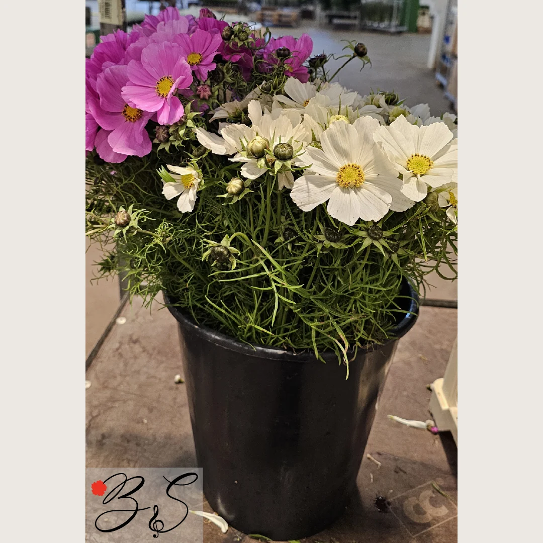 Blomsterhandler Brøndby Strand med elegant buket fra BlomsterSymfoni